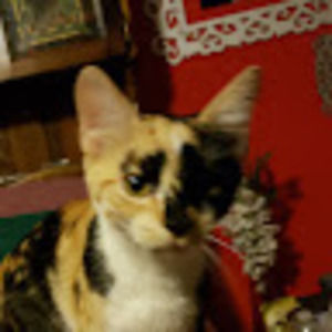 Meet your Posher, Skeeter